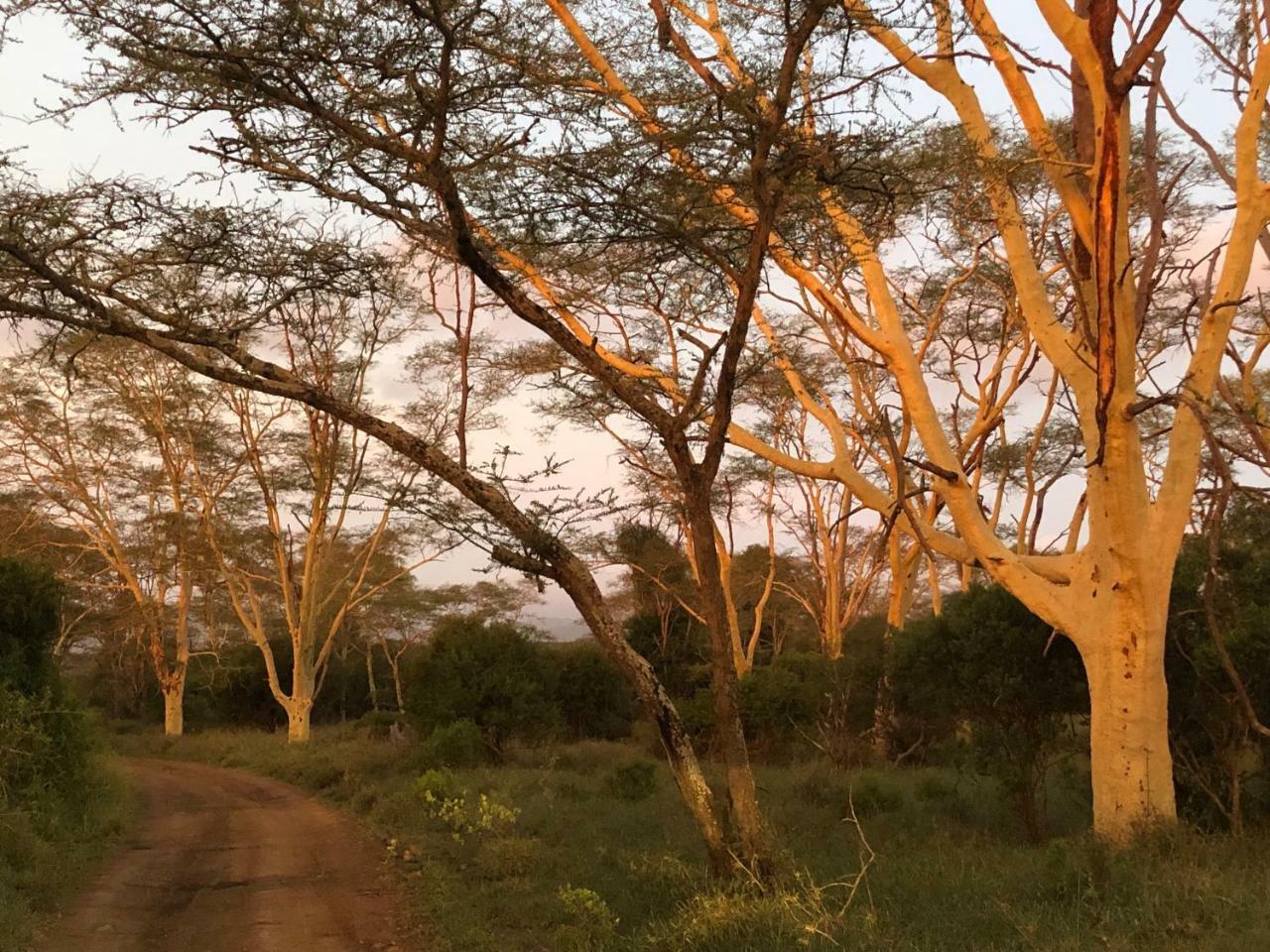 Msunduze River Lodge Mkuze Екстериор снимка